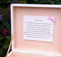 Inside of box